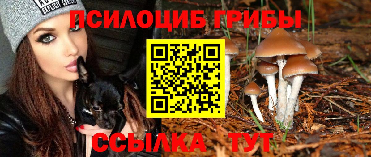 Владимир  Псилоцибиновые грибы мухоморы  Вход с VPN 